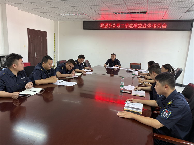 雅眉樂(lè)公司開(kāi)展第二季度稽查業(yè)務(wù)培訓(xùn)會(huì).jpg